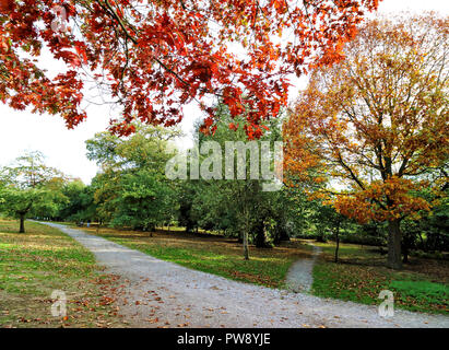 Ampthill, UK. 13 ottobre 2018. Autunno di sole e colori in Ampthill grande parco, Ampthill, Bedfordshire, Regno Unito il 13 ottobre 2018 Foto di Keith Mayhew Credito: KEITH MAYHEW/Alamy Live News Foto Stock