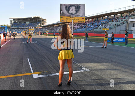 Hockenheim, Deutschland. Xiii oct, 2018. Gridgirls sono in posa. Fia Formula 3 Campionati Europei, Formula 3, all'Hockenheimring su 13.10.2018. | Utilizzo di credito in tutto il mondo: dpa/Alamy Live News Foto Stock