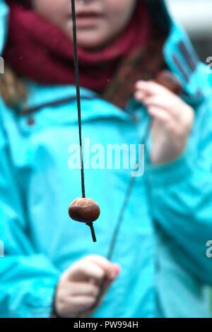 Southwick, UK. Il 14 ottobre 2018. Il dimensionamento di un conker su un giorno di gran pioggia a Southwick, East Midlands, Inghilterra, 14 ottobre 2018, per il 2018 junior world conker Championships. Credito: Michael Foley/Alamy Live News Foto Stock