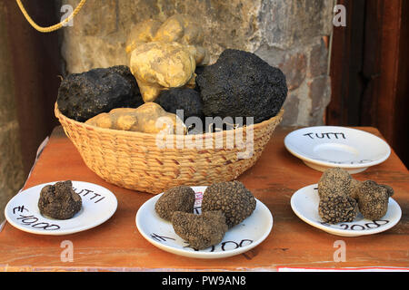 Vari tartufi sul display in Umbria, Italia. Foto Stock