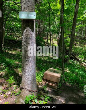 Casella di Orso e segno sulla Appalachian Trail in Berkshire Hills Foto Stock