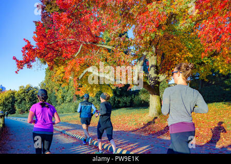 Le donne possono fare jogging in una soleggiata giornata autunnale, con le pareti di Stanley Park, Vancouver, British Columbia, Canada Foto Stock