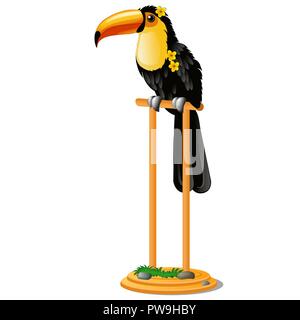 Bellissimo uccello toucan seduto su un pesce persico in legno isolato su sfondo bianco. Vector cartoon close-up illustrazione. Illustrazione Vettoriale