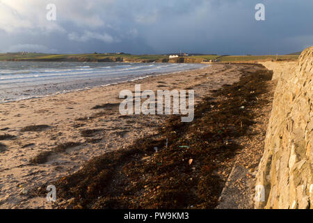 La Scapa Beach, Orkney continentale Foto Stock