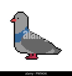 Pigeon pixel art. Colomba 8 bit. Illustrazione Vettoriale Illustrazione Vettoriale