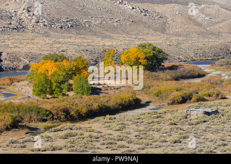 I colori autunnali e un vecchio casolare sulla North Platte River, Wyoming Foto Stock