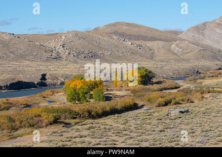 I colori autunnali e un vecchio casolare sulla North Platte River, Wyoming Foto Stock