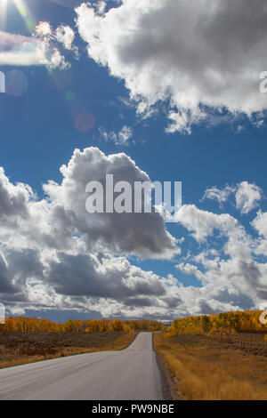 Autunno aspen alberi lungo il passaggio di battaglia Scenic Byway nel Wyoming Foto Stock