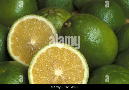 LIME DI TAHITI O PERSIANI RACCOLTE (LATIFOLIA DI AGRUMI). FRUTTA PIENA E DIMEZZATA. Foto Stock