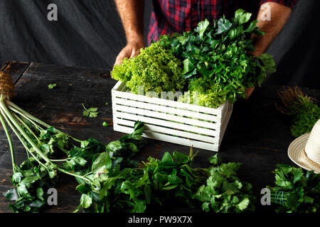 Contadino con erbe di fresco in una scatola di legno scuro su un tavolo di legno. Concetto di raccolta Foto Stock