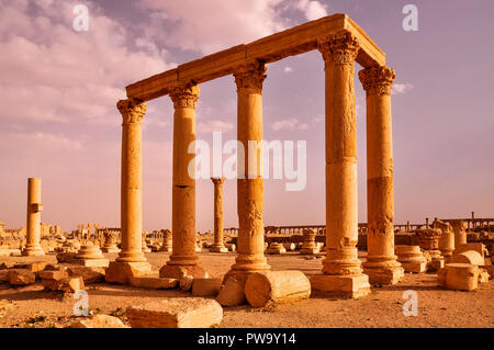 Antiche colonne di Palmyra, Siria Foto Stock