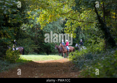 Newmarket, Suffolk, Regno Unito, 2018-10-13. Cavalli essendo esercitato su Newmarket galoppa avanti di oggi racing. Dat due dei due giorni di Dubai i campioni di domani Foto Stock