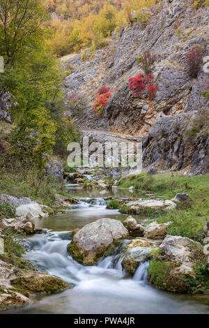 Una lunga esposizione mountain creek in un canyon e i colori autunnali Foto Stock