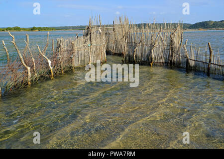 Tradizionale pesce Tsonga trappola costruita nel Kosi bay estuary, Tongaland, Sud Africa Foto Stock