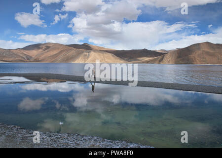 Riflessioni lungo il bellissimo Lago Pangong, il gioiello del Ladakh, India Foto Stock