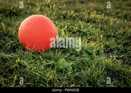 Beach volley su erba verde in autunno Foto Stock