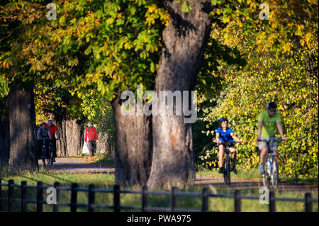 Autunno in Gdansk, Polonia. Il 13 ottobre 2018 © Wojciech Strozyk / Alamy Stock Photo Foto Stock