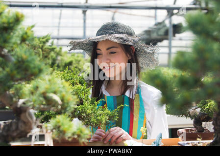 Bella femmina giardiniere di prendersi cura di piante in suoi fiori e piante shop - donna asiatica lavora in una serra Foto Stock