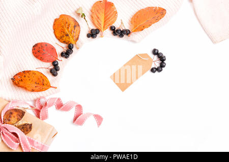 Woomen delicata rosa beige maglione, secco autunno foglie e bacche di Aronia su uno sfondo bianco, Autunno Autunno concetto., autunno shopping e sconti concetto . Appartamento laico, vista dall'alto, spazio di copia Foto Stock