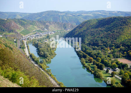 Blick auf die Mosel und Hatzenport, Moselsteig, Terrassenmosel, Moseltal, Rheinland Pfalz, Deutschland Foto Stock