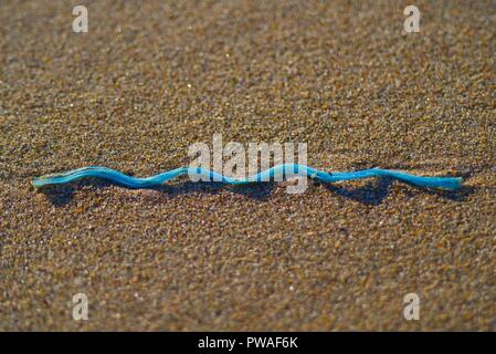 Un'onda pezzo sagomato di rifiuti di plastica lavati fino ad una spiaggia di sabbia Foto Stock