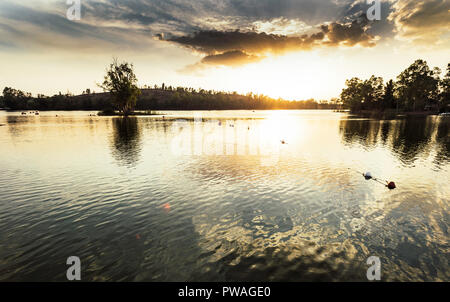 Isola con eucalipto in mezzo al lago al tramonto con boe che delimitano la zona di balneazione Foto Stock