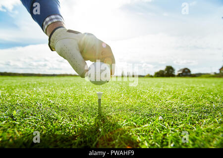 Mano del giocatore di golf putting palla sul tee prima di iniziare il gioco in ambiente naturale Foto Stock