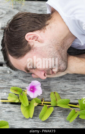 30-40s uomo caucasico dormire su un dock accanto a un fiore Foto Stock