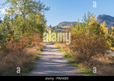 Sentiero natura attraverso la foresta con foglie di autunno, montagne e cielo blu Foto Stock