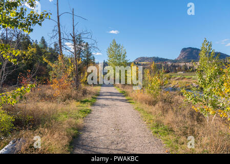 Percorso attraverso il bosco in autunno con le montagne e il cielo blu Foto Stock