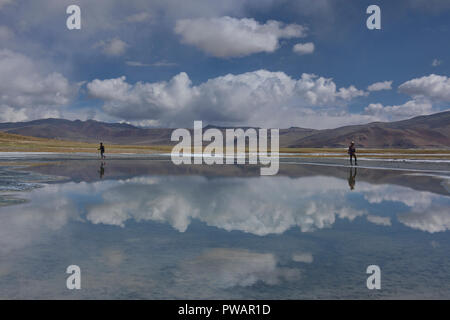 Riflessioni lungo il Tso Kar Lago, Ladakh, India Foto Stock