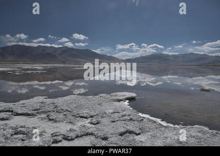 Riflessioni e dei depositi di sale, Tso Kar Lago, Ladakh, India Foto Stock