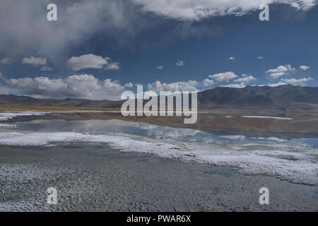 Riflessioni e dei depositi di sale, Tso Kar Lago, Ladakh, India Foto Stock