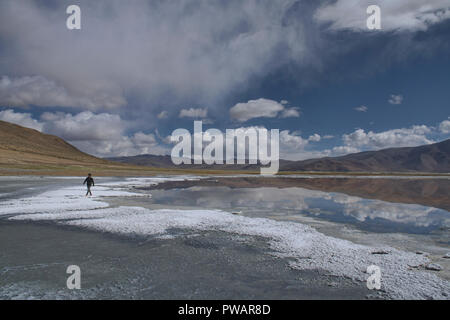 Il Trekking lungo il Tso Kar Lago, Ladakh, Indiavi Foto Stock