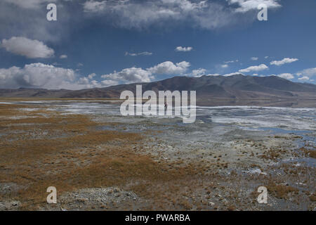 Il Trekking lungo il Tso Kar Lago, Ladakh, Indiavi Foto Stock