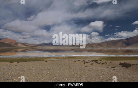 Solitudine; Tso Kar Lago, Ladakh, India Foto Stock