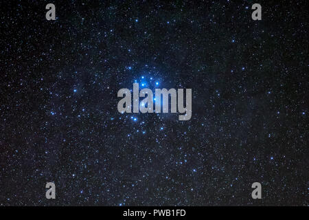 M45, le Pleiadi cluster o le sette sorelle Foto Stock