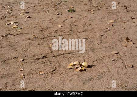 Estate Tic Tac Toe gioco scritto in sabbia con morti caduto foglie di autunno sulla terra di passaggio di marcatura di tempo Foto Stock