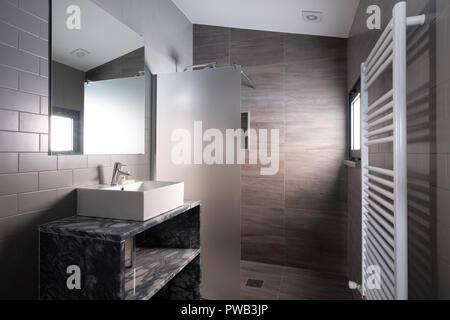 Sala da bagno Foto Stock