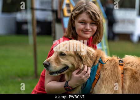 Huntington Beach, Stati Uniti d'America. Xiv oct, 2018. Huntington Beach, CA. Centinaia di Golden Retrievers a raccogliere l'Huntington Central Park per la seconda edizione di Goldie Palooza evento, beneficiando di salvataggio nella zona di Los Angeles e Puerto Rico domenica 14 ottobre, 2018. Credito: Benjamin Ginsberg/Alamy Live News Foto Stock