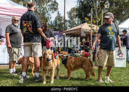 Huntington Beach, Stati Uniti d'America. Xiv oct, 2018. Huntington Beach, CA. Centinaia di Golden Retrievers a raccogliere l'Huntington Central Park per la seconda edizione di Goldie Palooza evento, beneficiando di salvataggio nella zona di Los Angeles e Puerto Rico domenica 14 ottobre, 2018. Credito: Benjamin Ginsberg/Alamy Live News Foto Stock