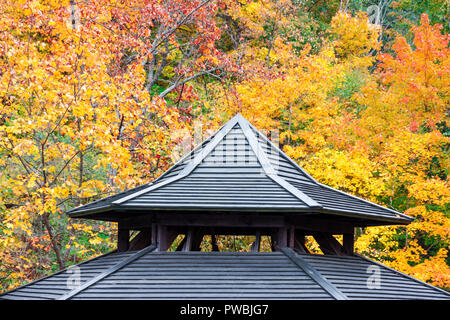 Antichi tetti in legno dettaglio con il rosso e il giallo fogliame di autunno sfondo Foto Stock