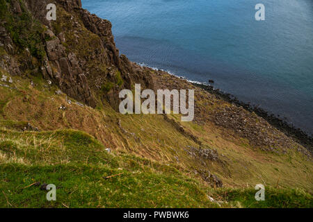 Ripide scogliere a riva nei pressi di Kilt Rock e la lealt Falls, Isola di Skye, Scotland, Regno Unito Foto Stock