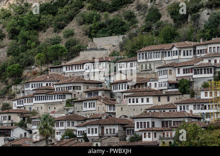 Berat città di 1000 windows in Albania Foto Stock