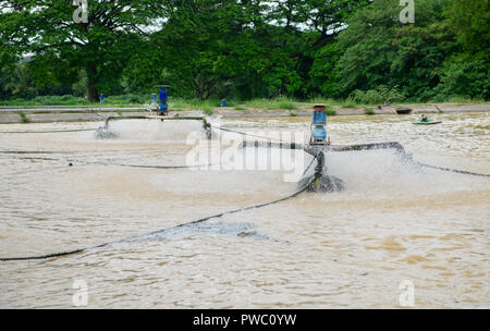 Trattamento acqua macchina a turbina per ridurre il BOD in acqua in impianti di trattamento delle acque reflue. concetto ambientale Foto Stock