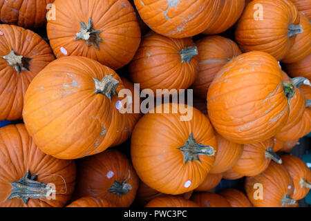 Austin pila di zucca Foto Stock