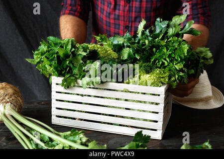 Contadino con erbe di fresco in una scatola di legno garvesting concept Foto Stock