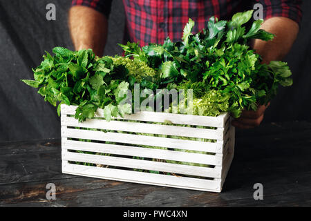 Contadino con erbe di fresco in una scatola di legno il concetto di raccolta Foto Stock