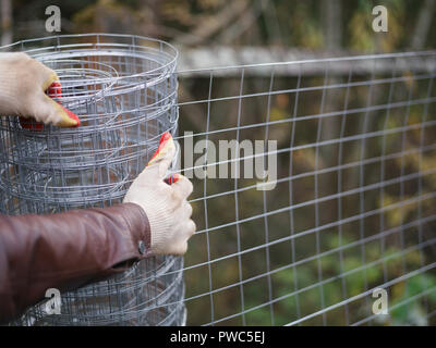 Le mani di indossare guanti di protezione tenendo un rotolo di rete in acciaio, outdoor closeup Foto Stock