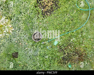 Utensili da giardinaggio sul terreno e piante ricoperta di ghiaccio Foto Stock